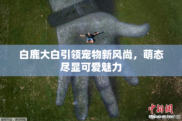 白鹿大白引领宠物新风尚，萌态尽显可爱魅力