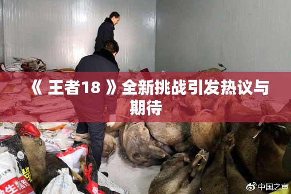 《 王者18 》全新挑战引发热议与期待
