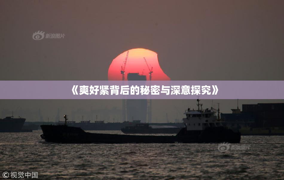 《爽好紧背后的秘密与深意探究》