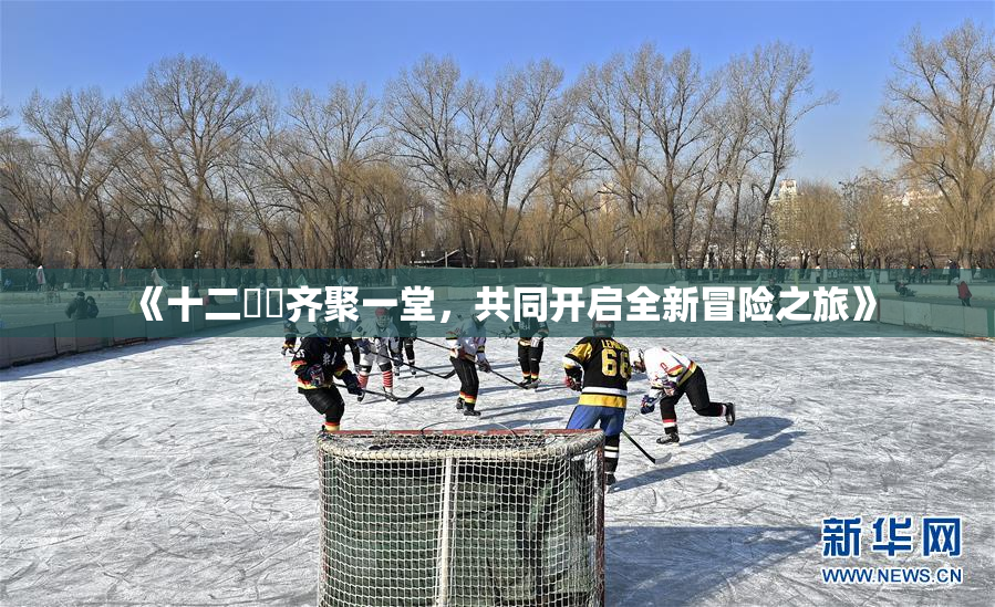 《十二妺妺齐聚一堂，共同开启全新冒险之旅》