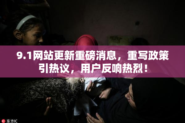 9.1网站更新重磅消息，重写政策引热议，用户反响热烈！