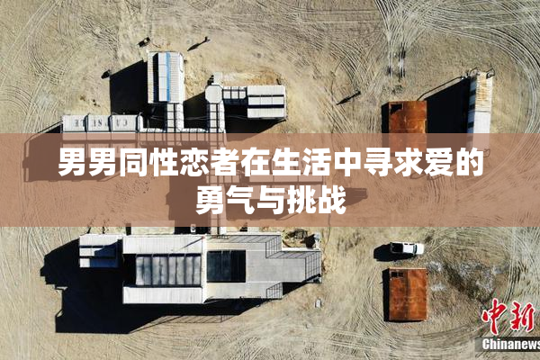 男男同性恋者在生活中寻求爱的勇气与挑战