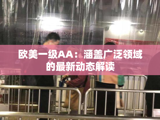 欧美一级AA：涵盖广泛领域的最新动态解读