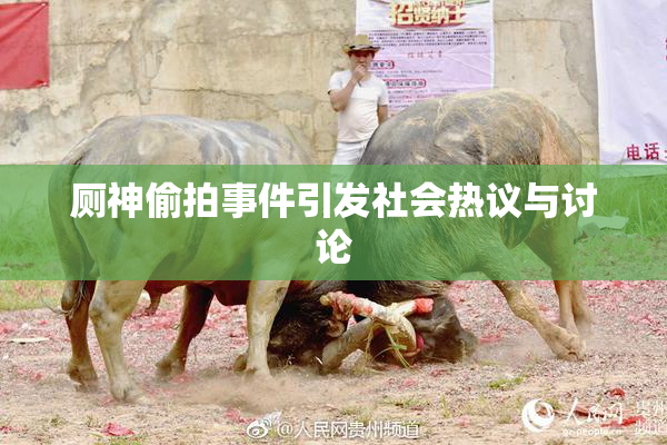 厕神偷拍事件引发社会热议与讨论