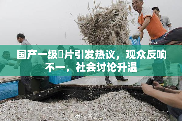 国产一级婬片引发热议，观众反响不一，社会讨论升温