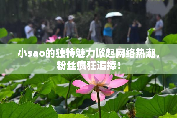 小sao的独特魅力掀起网络热潮，粉丝疯狂追捧！