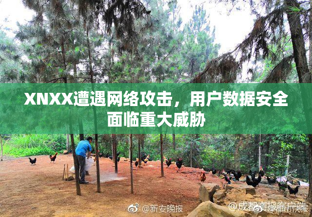 XNXX遭遇网络攻击，用户数据安全面临重大威胁