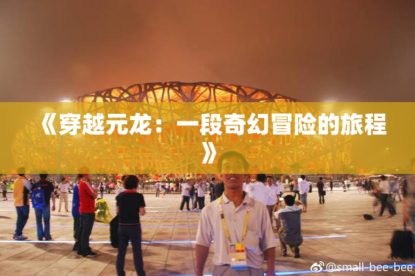 《穿越元龙：一段奇幻冒险的旅程》