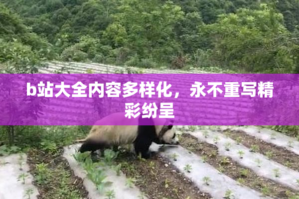b站大全内容多样化，永不重写精彩纷呈