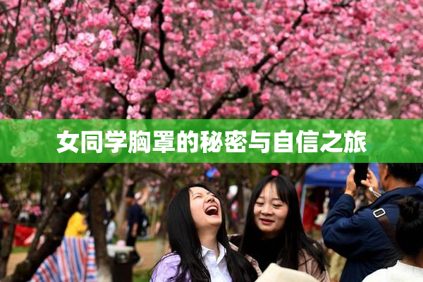 女同学胸罩的秘密与自信之旅