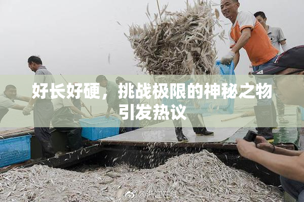 好长好硬，挑战极限的神秘之物引发热议