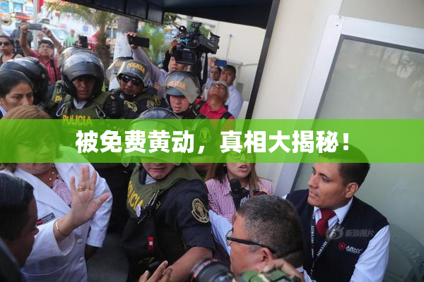 被免费黄动，真相大揭秘！