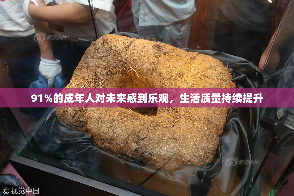 91%的成年人对未来感到乐观，生活质量持续提升