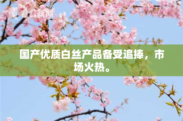 国产优质白丝产品备受追捧，市场火热。