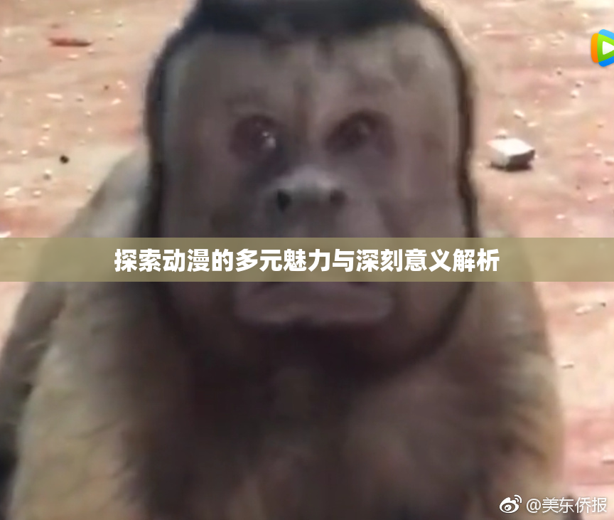 探索动漫的多元魅力与深刻意义解析