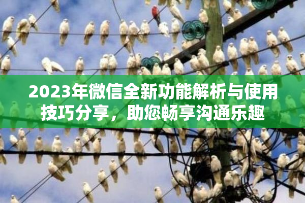 2023年微信全新功能解析与使用技巧分享，助您畅享沟通乐趣