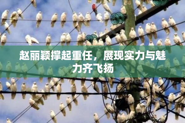 赵丽颖撑起重任，展现实力与魅力齐飞扬