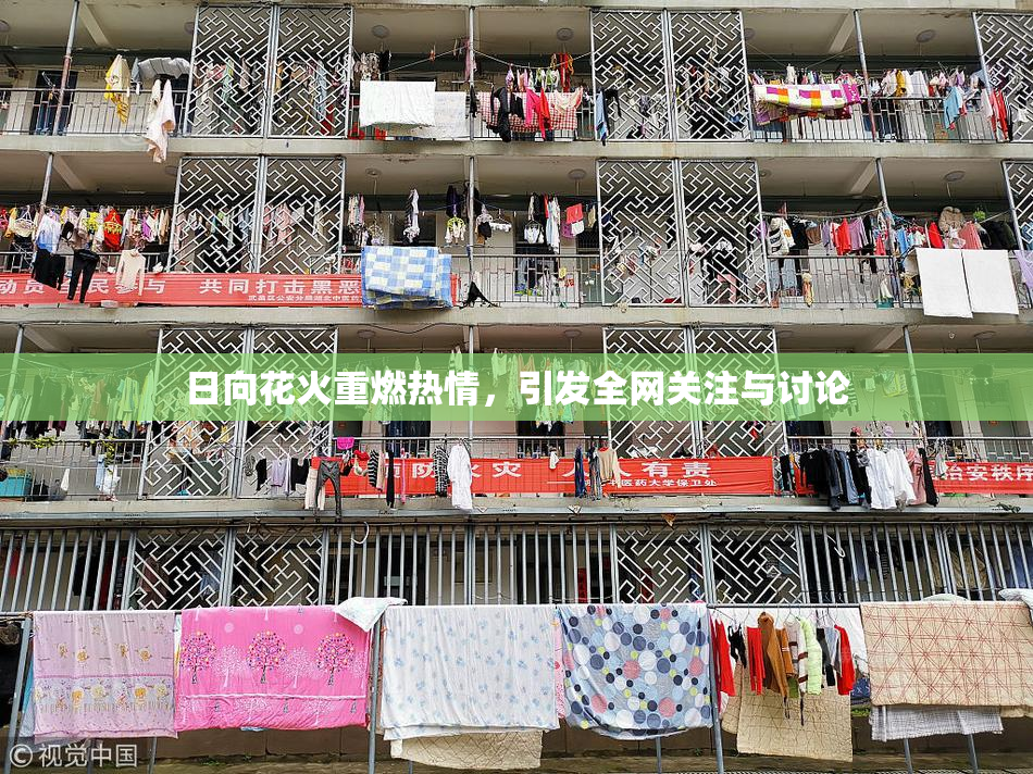 日向花火重燃热情，引发全网关注与讨论