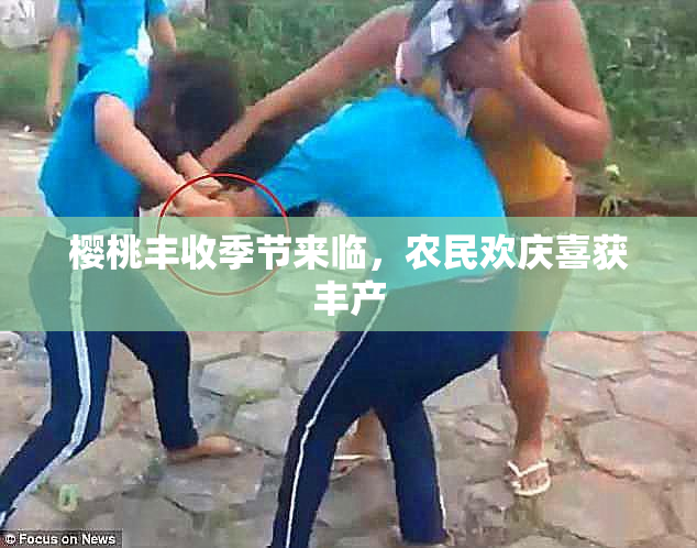樱桃丰收季节来临，农民欢庆喜获丰产