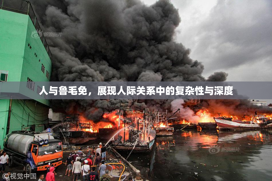 人与鲁毛免，展现人际关系中的复杂性与深度