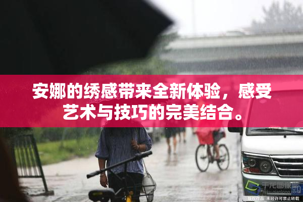 安娜的绣感带来全新体验，感受艺术与技巧的完美结合。