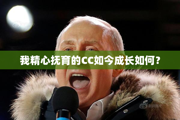 我精心抚育的CC如今成长如何？
