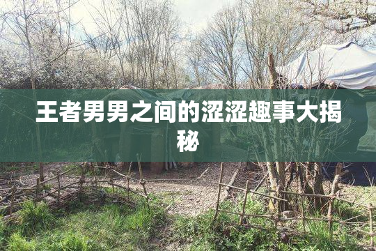 王者男男之间的涩涩趣事大揭秘