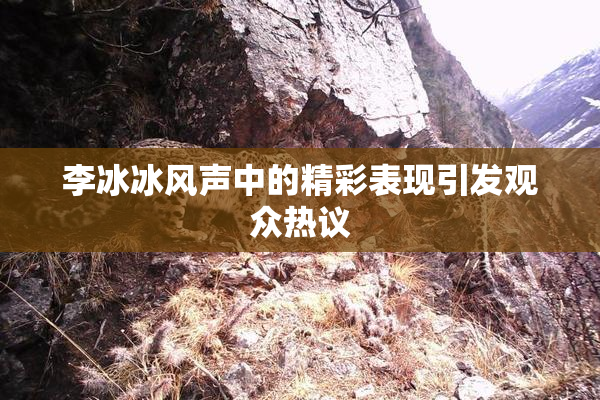 李冰冰风声中的精彩表现引发观众热议