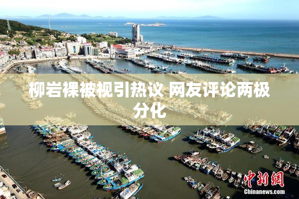 柳岩裸被视引热议 网友评论两极分化
