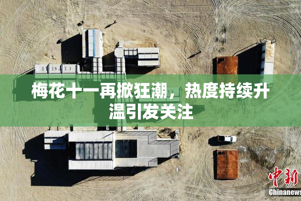 梅花十一再掀狂潮，热度持续升温引发关注