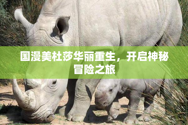国漫美杜莎华丽重生，开启神秘冒险之旅