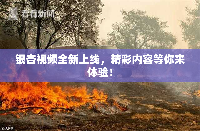 银杏视频全新上线，精彩内容等你来体验！