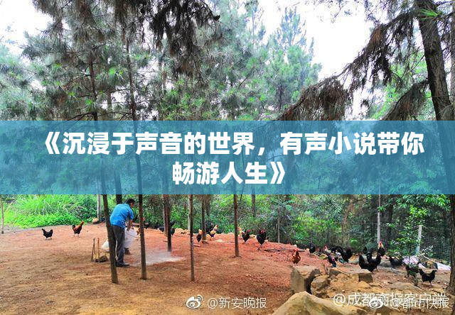 《沉浸于声音的世界，有声小说带你畅游人生》