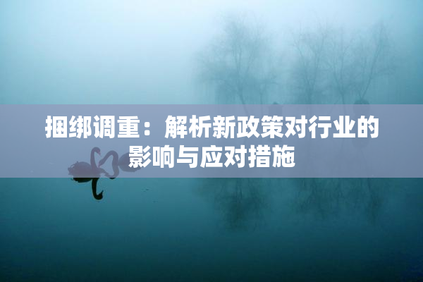 捆绑调重：解析新政策对行业的影响与应对措施
