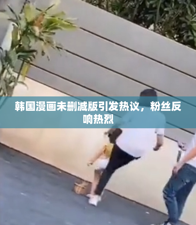 韩国漫画未删减版引发热议，粉丝反响热烈