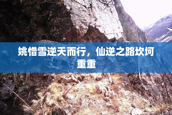 姚惜雪逆天而行，仙逆之路坎坷重重