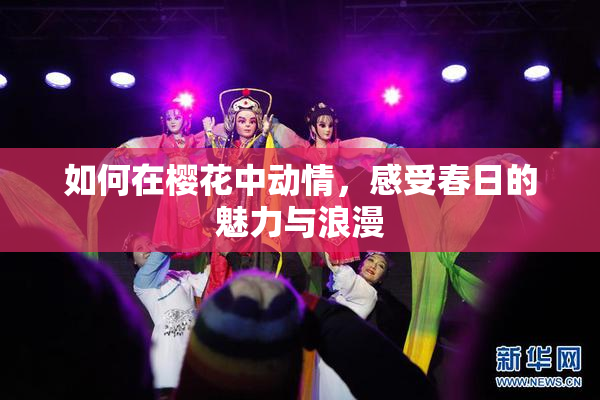 如何在樱花中动情，感受春日的魅力与浪漫