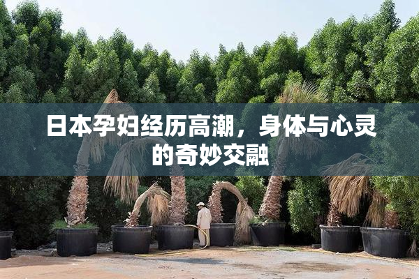 日本孕妇经历高潮，身体与心灵的奇妙交融