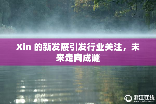 Xin 的新发展引发行业关注，未来走向成谜