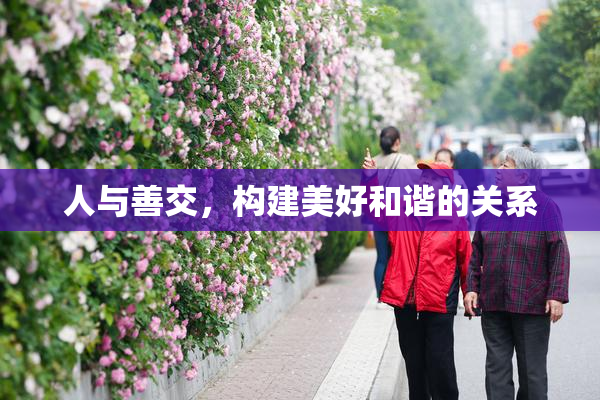 人与善交，构建美好和谐的关系