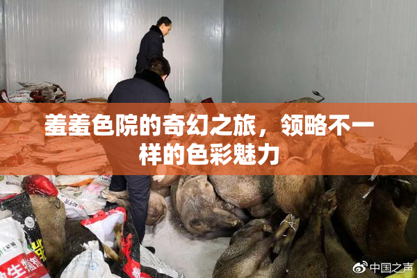 羞羞色院的奇幻之旅，领略不一样的色彩魅力