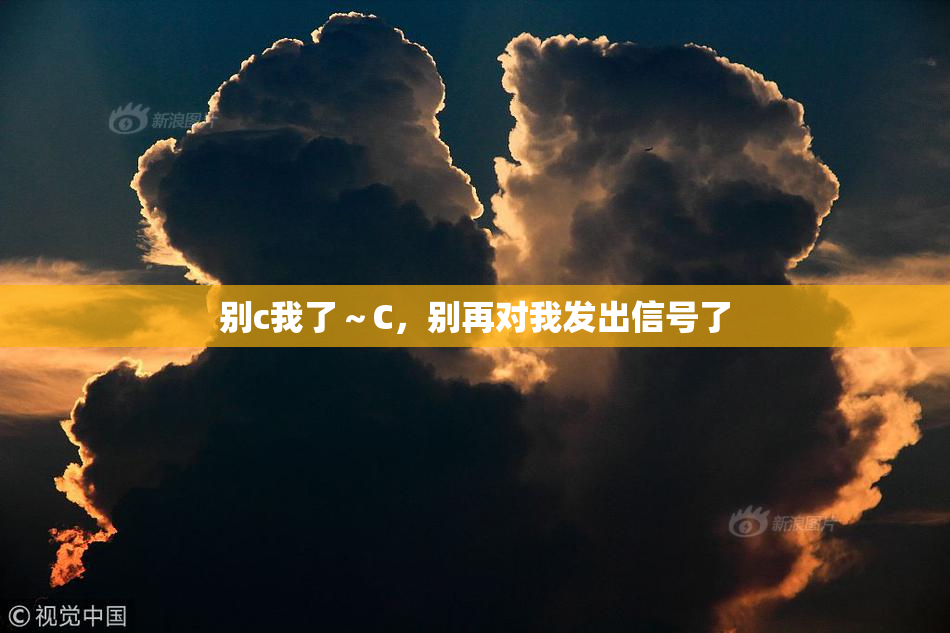 别c我了～C，别再对我发出信号了