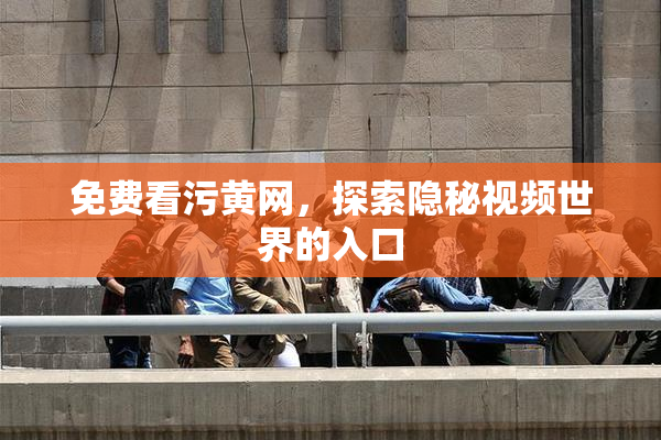 免费看污黄网，探索隐秘视频世界的入口