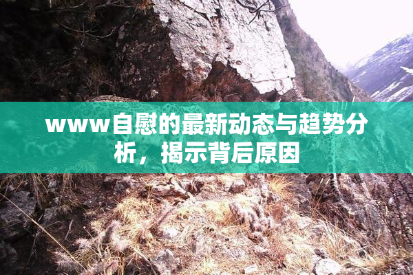 www自慰的最新动态与趋势分析，揭示背后原因