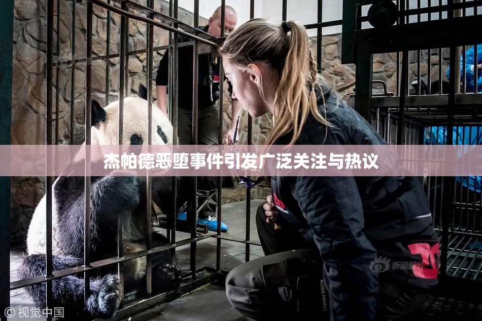 杰帕德恶堕事件引发广泛关注与热议