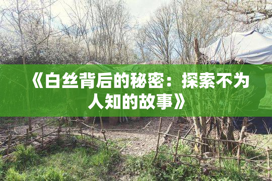 《白丝背后的秘密：探索不为人知的故事》