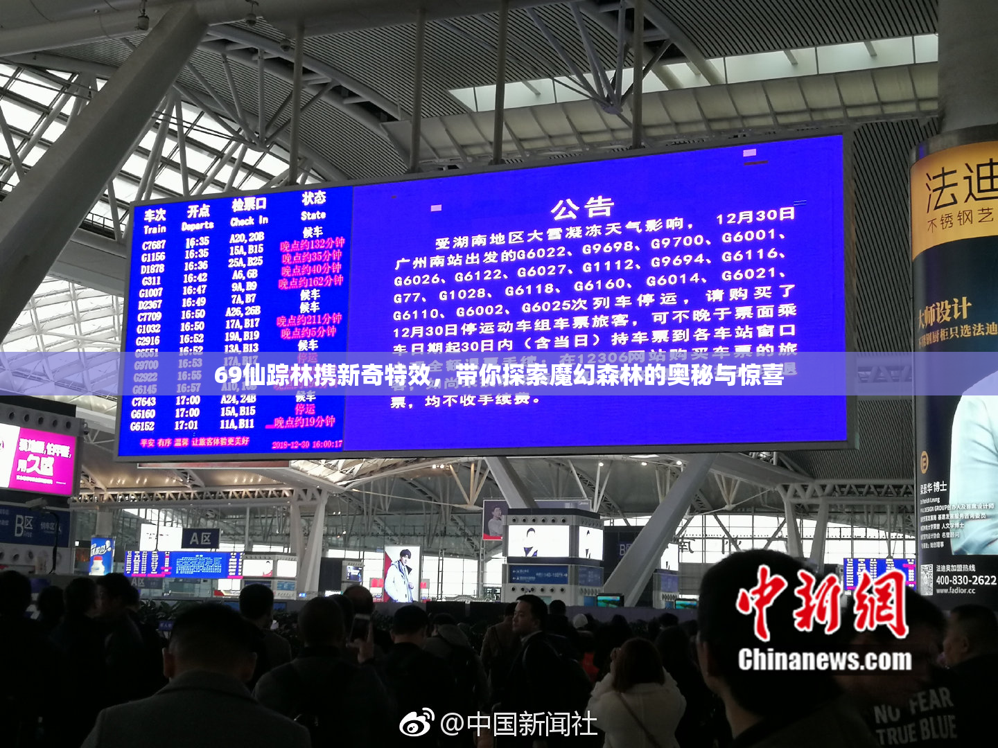69仙踪林携新奇特效，带你探索魔幻森林的奥秘与惊喜