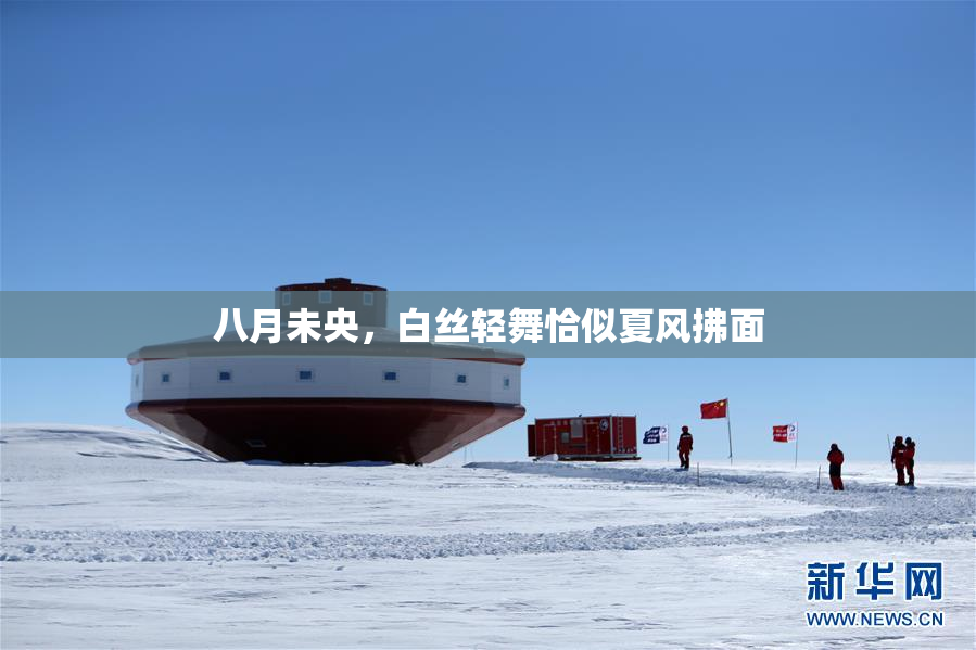 八月未央，白丝轻舞恰似夏风拂面