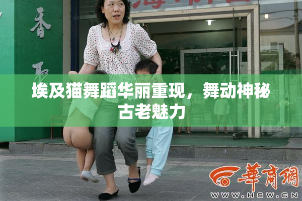 埃及猫舞蹈华丽重现，舞动神秘古老魅力