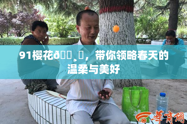 91樱花🌸‌，带你领略春天的温柔与美好
